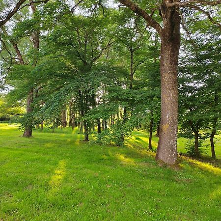 Gite De La Janiere Sainte-Luce-sur-Loire Εξωτερικό φωτογραφία