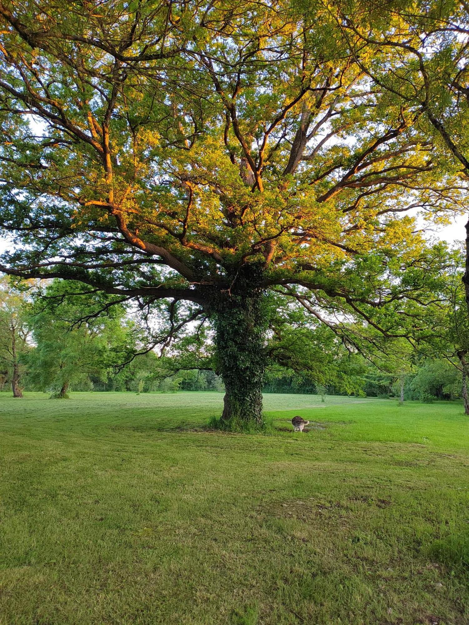 Gite De La Janiere Sainte-Luce-sur-Loire Εξωτερικό φωτογραφία