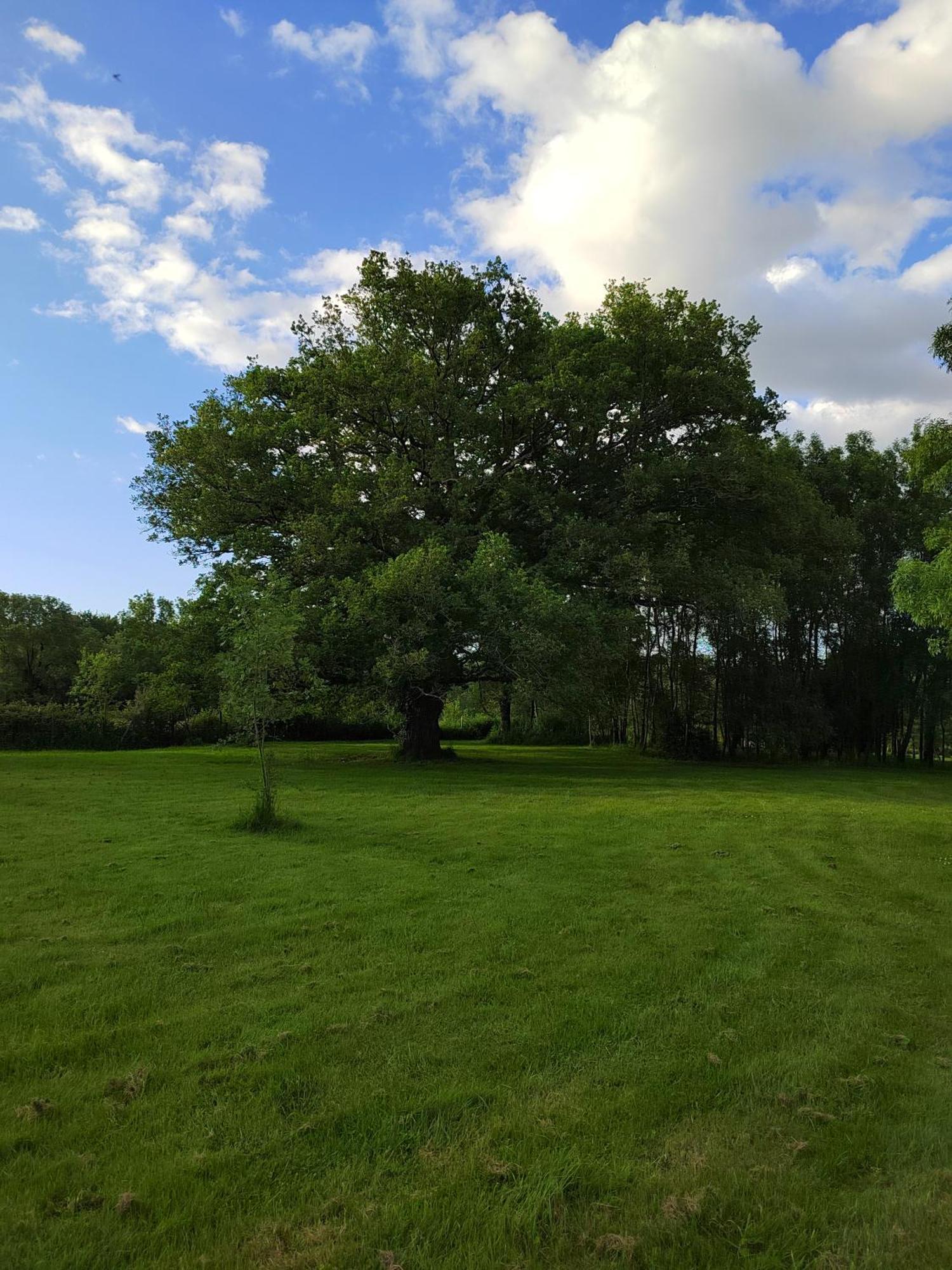 Gite De La Janiere Sainte-Luce-sur-Loire Εξωτερικό φωτογραφία