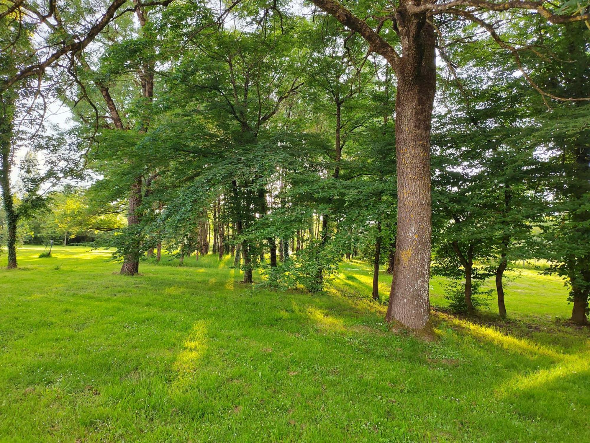 Gite De La Janiere Sainte-Luce-sur-Loire Εξωτερικό φωτογραφία