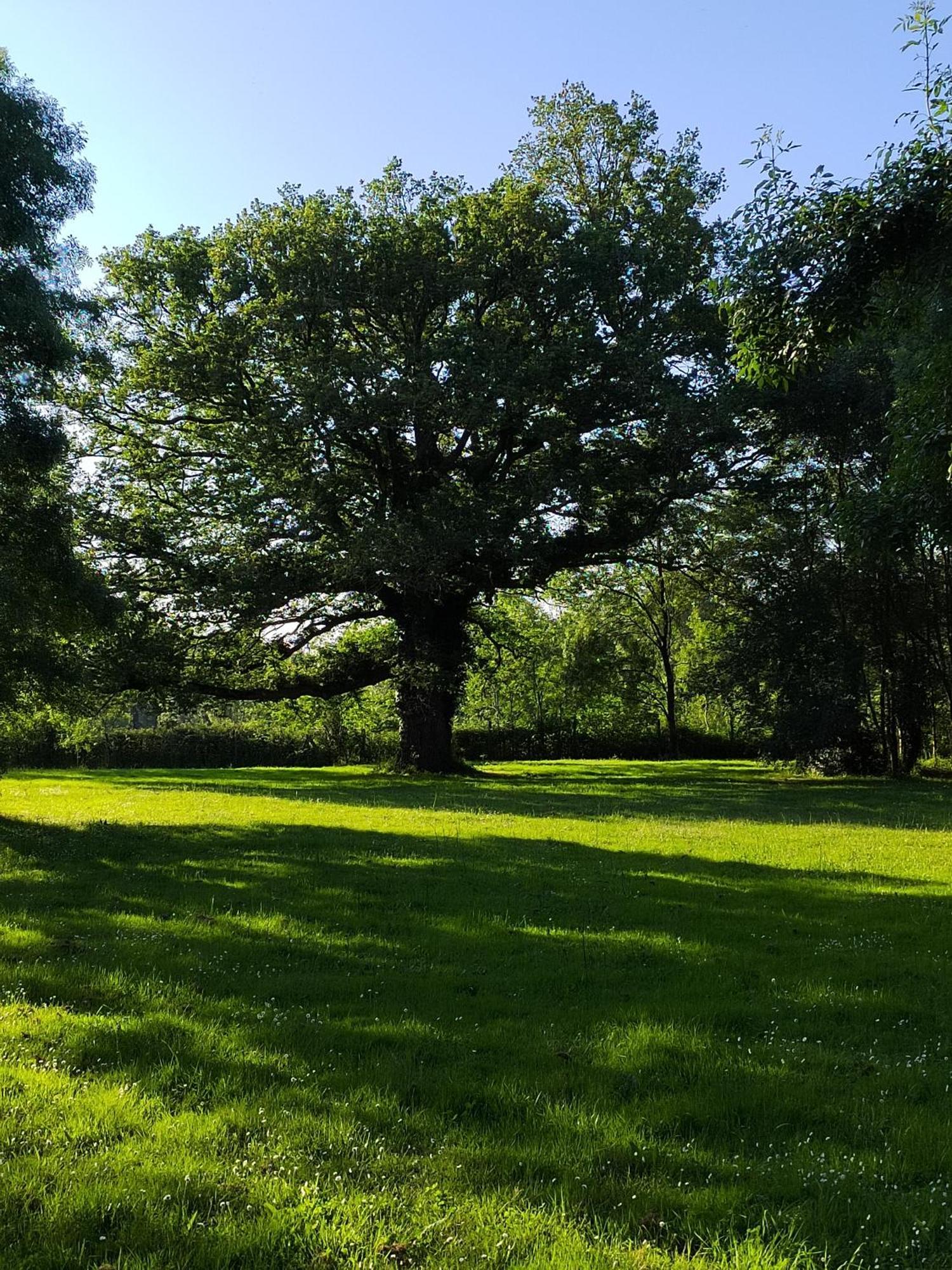 Gite De La Janiere Sainte-Luce-sur-Loire Εξωτερικό φωτογραφία